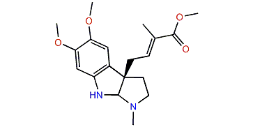 Pseudophrynamine 346